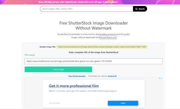 Download Shutterstock
