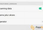 arti roaming data