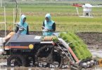 teknologi hasil pertanian