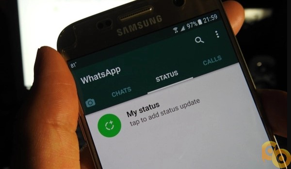 cara melihat status whatsapp yang diprivasi