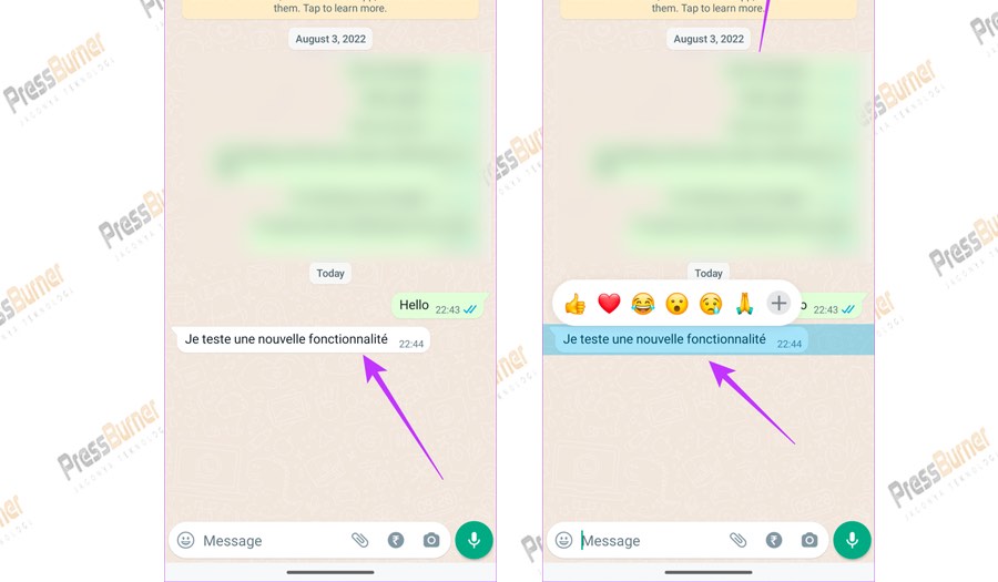 Cara Menerjemahkan Pesan di Whatsapp