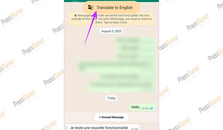 Cara Menerjemahkan Pesan di Whatsapp