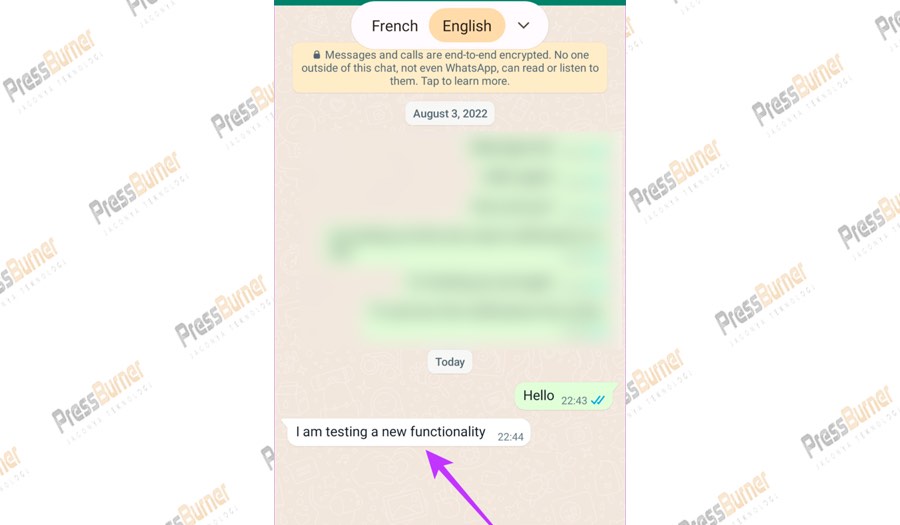 Cara Menerjemahkan Pesan di Whatsapp
