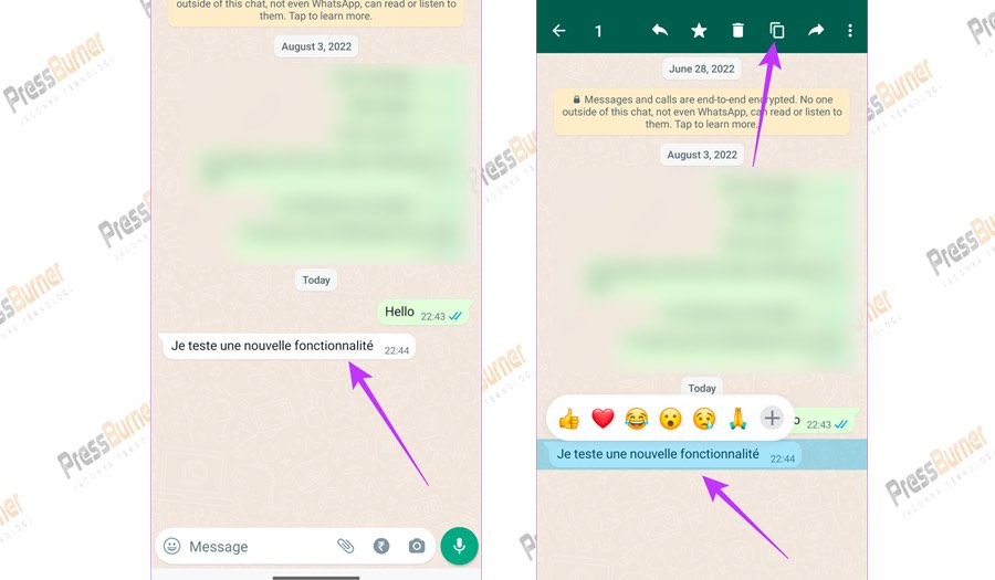 Cara Menerjemahkan Pesan di Whatsapp